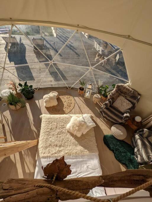 فندق Beautiful Located Dome Wapnica  المظهر الخارجي الصورة